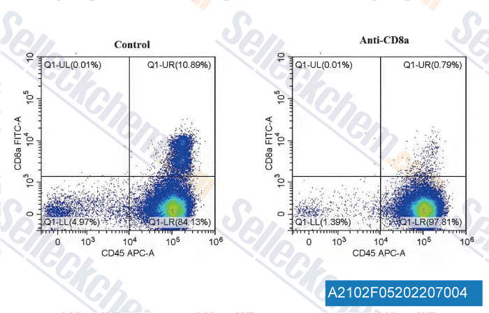 A2102  Anti-mouse CD8-alpha-InVivo-4.gif
